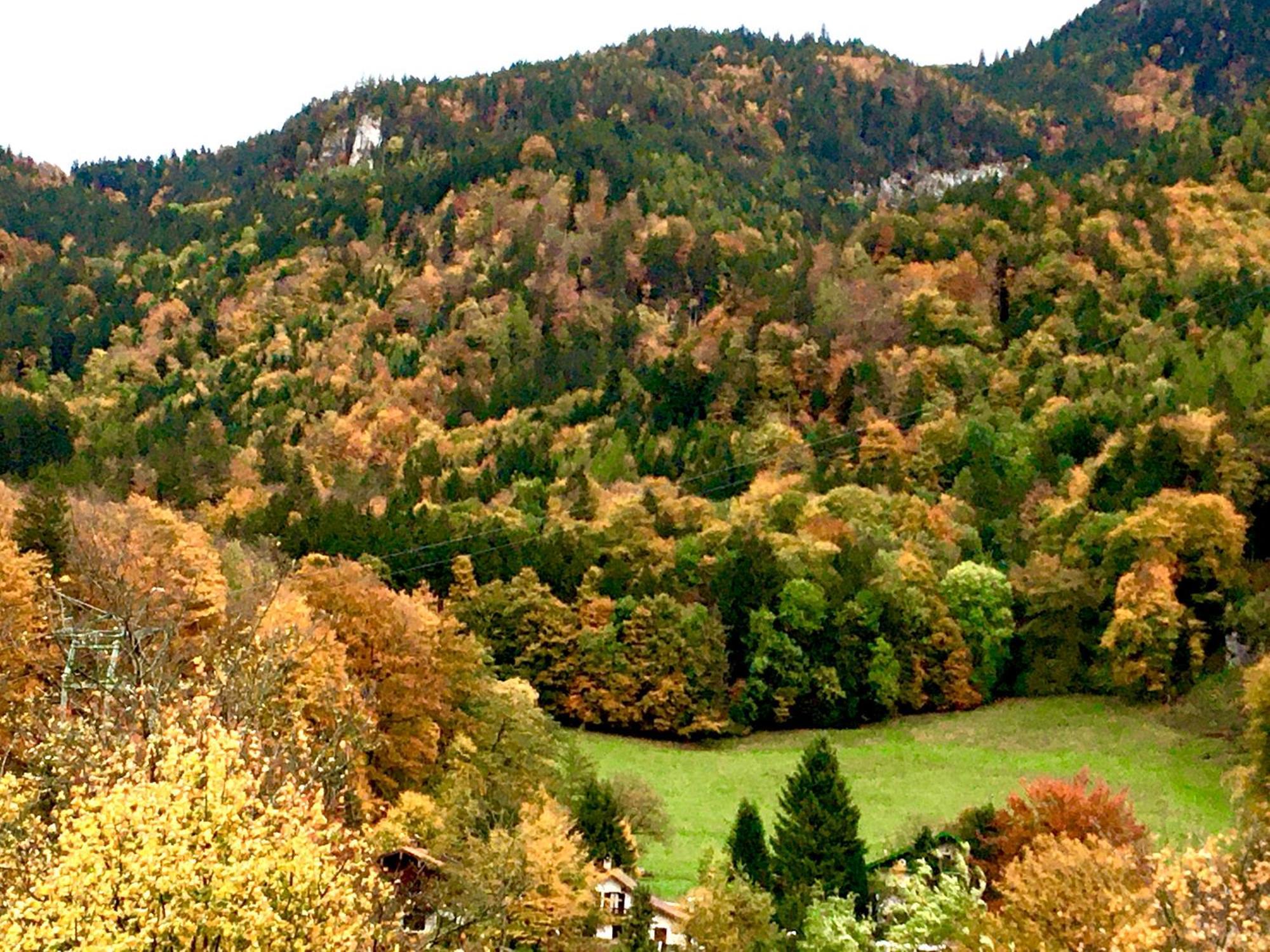 Appartment Schloss-Zeit Aschau im Chiemgau Zimmer foto